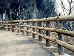 柵002.jpg