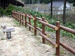 柵003.jpg