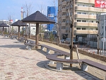 101-0169_IMG.JPG